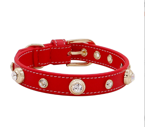 Πολυτελές κολάρο σκύλου Bling