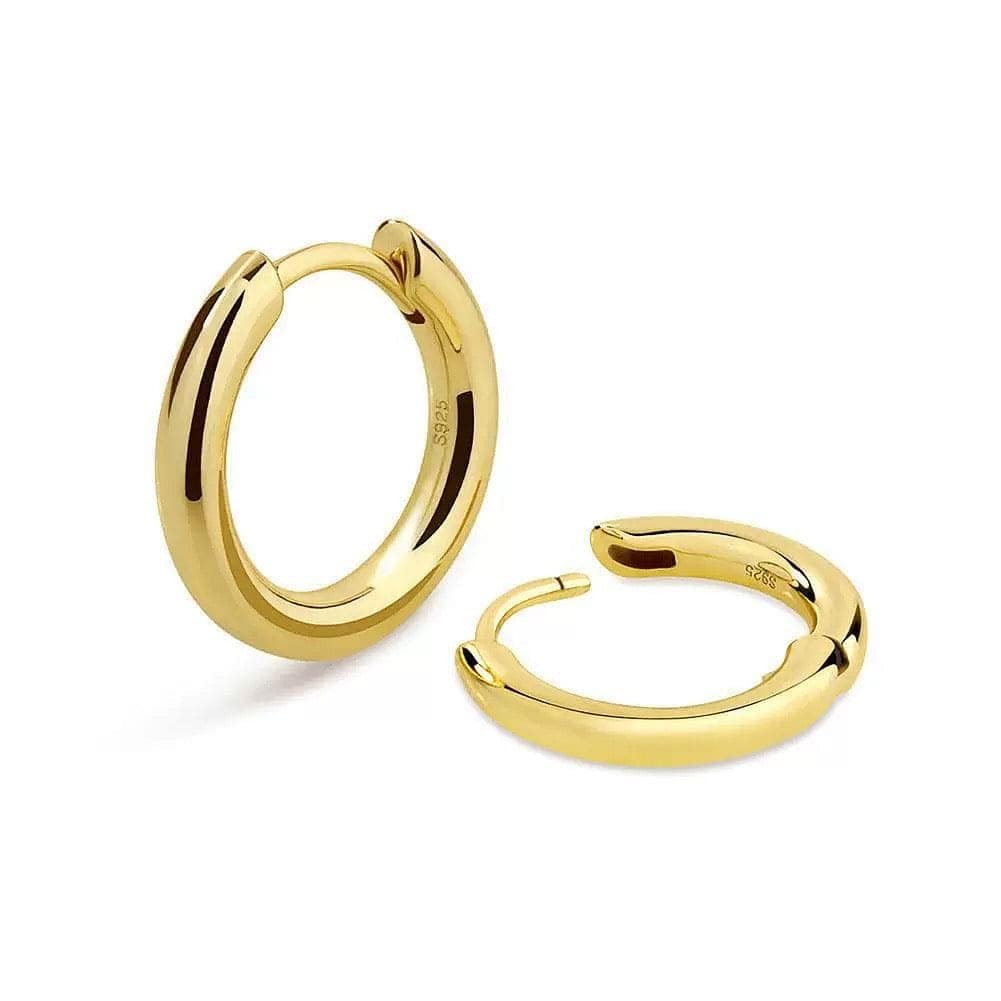VVS Jewelry hip hop jewelry VVS Jewelry 925 Sterling Silver Men Hoop Earrings