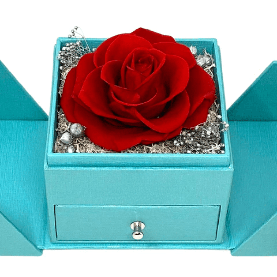 VVS Jewelry hip hop jewelry necklaces VVS Jewelry Red Rose I Love You in 100 Languages 925 Silver Necklace Gift Box Set